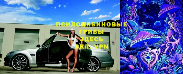 ALPHA-PVP Богородицк