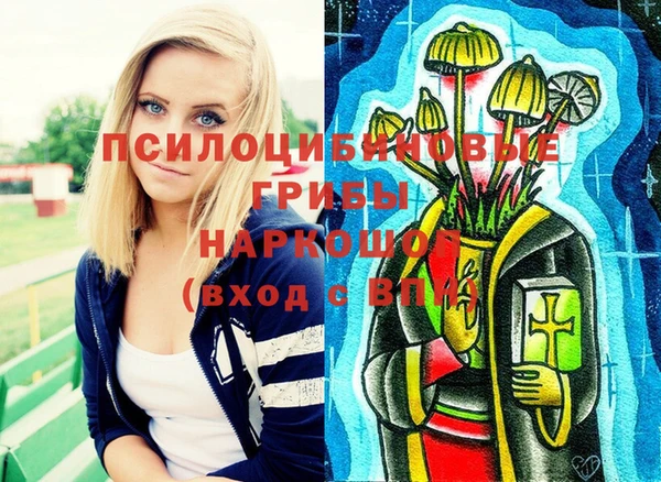 ALPHA-PVP Богородицк