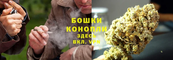 ALPHA-PVP Богородицк